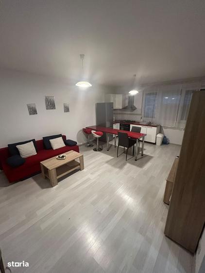 Apartament cu 2 camere în Seleuș