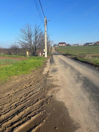 Teren de 5000 mp, în Glina