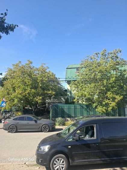 Spațiu comercial, de 200 mp, în Dosu Bricii