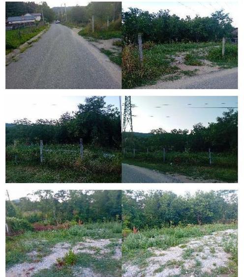 -teren intravilan, loc. Daesti, jud. Valcea - 3