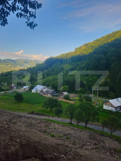 Teren Construcții intravilan de 10000 mp, în Est
