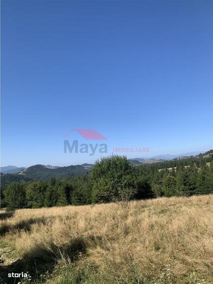Spațiu comercial, în Piatra