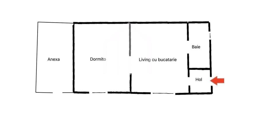 Casa individuala, 2 camere, sura 100mp, 290mp teren, Turnisor - 2