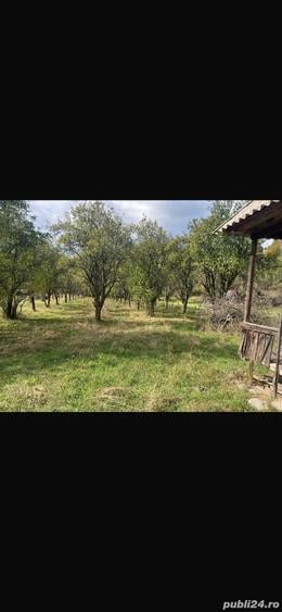 Teren în Nucșoara