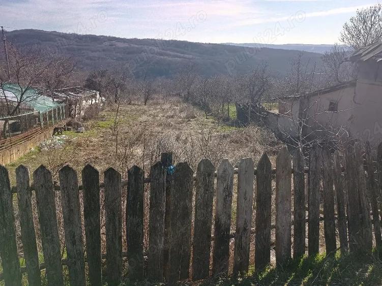 Teren de 1600 mp, în Siliștea