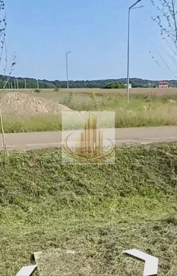 Teren Construcții de 608 mp, în Ghiroda