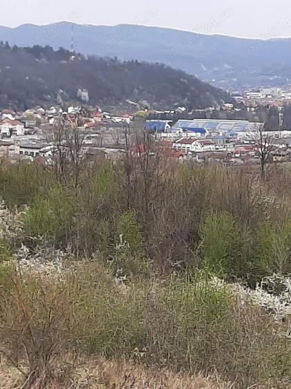 Teren de 11500 mp, în Morilor
