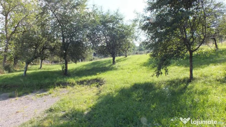 Teren în Bran