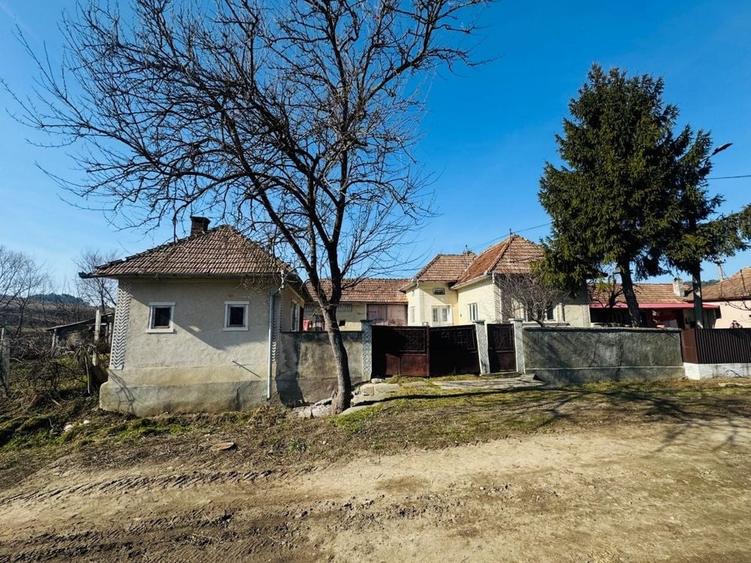 Casă cu 3 camere în Panticeu