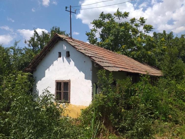 Casă cu 4 camere cu Teren 2600 Mp în Dioști