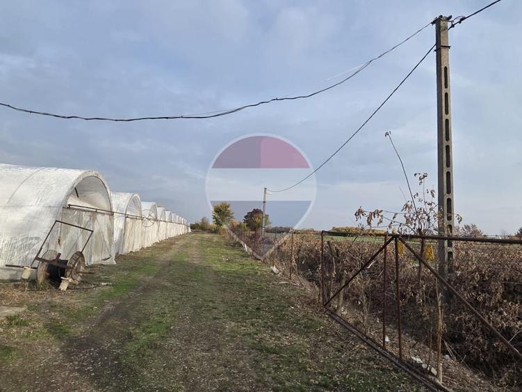 Teren agricol intravilan de 24732 mp, în Vest