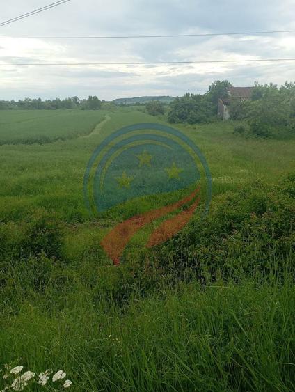 Teren Construcții intravilan de 7140 mp, în Murgași