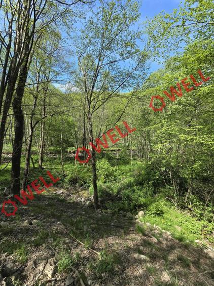 Teren extravilan de 5600 mp, în Filia