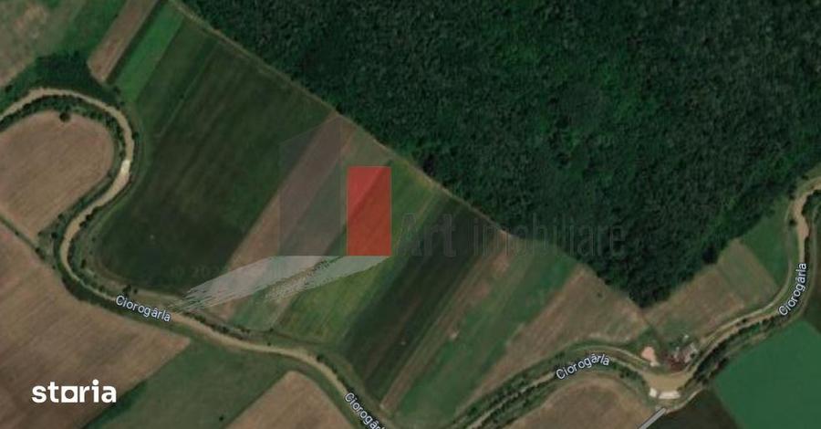 Teren de 6100 mp, în Cosoba
