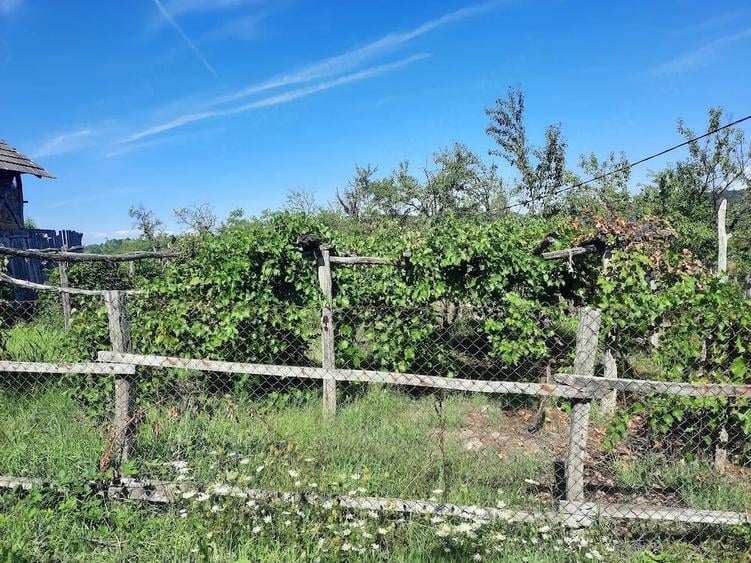 Casă cu 2 camere cu Teren 30 Mp în Târgu Logrești