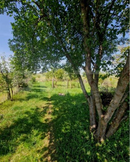 Casă cu 2 camere cu Teren 1600 Mp în Uriu