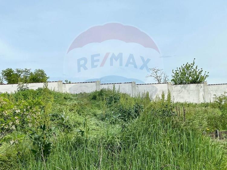 Teren Construcții intravilan de 2464 mp, în Gurbănești