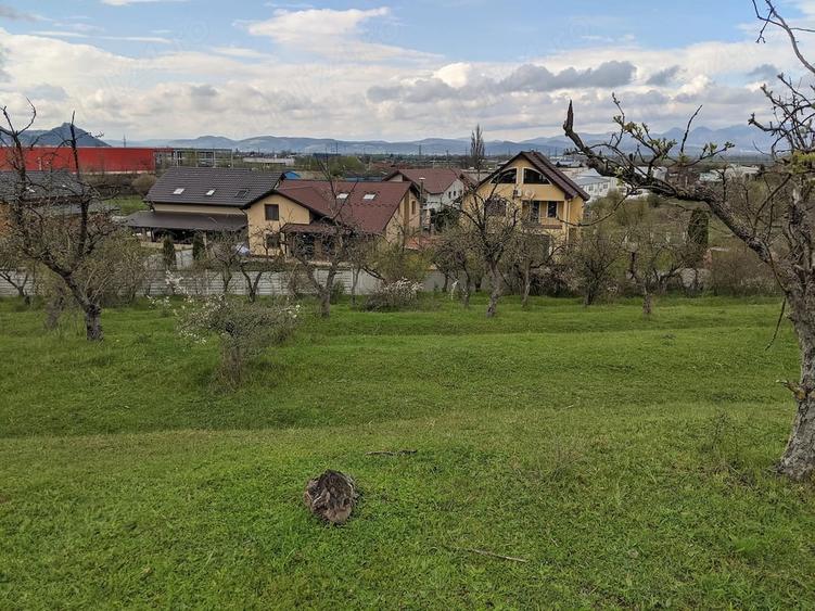 Teren de 10000 mp, în Central