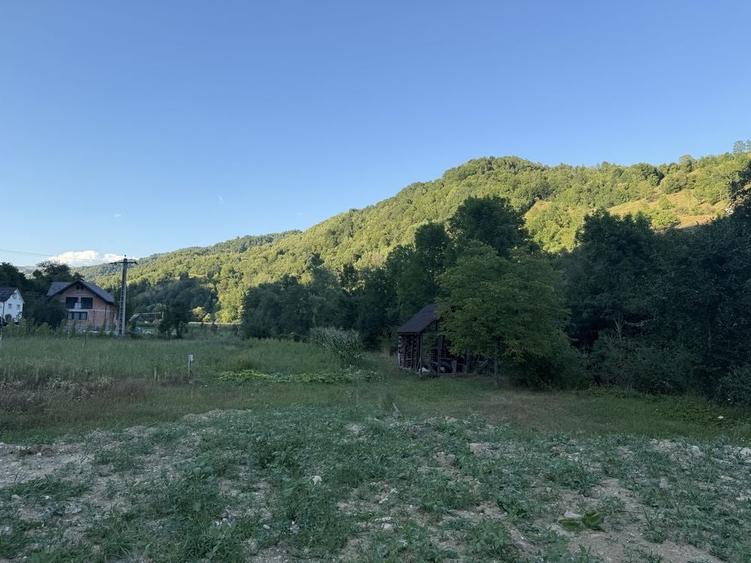 Teren de 4000 mp, în Rebra