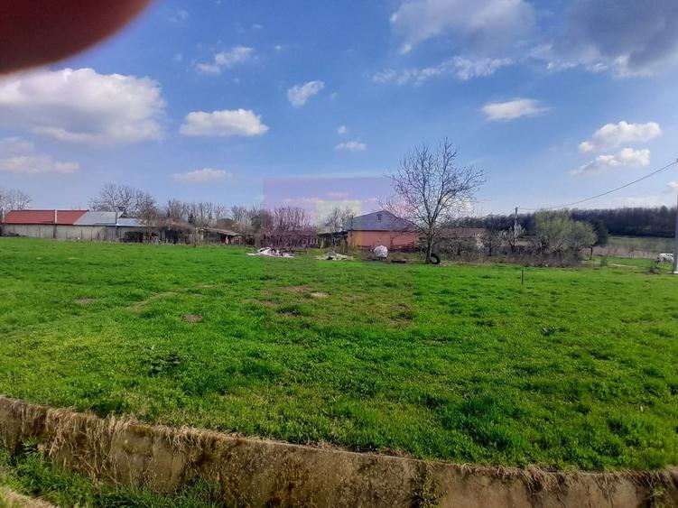 Teren în Central