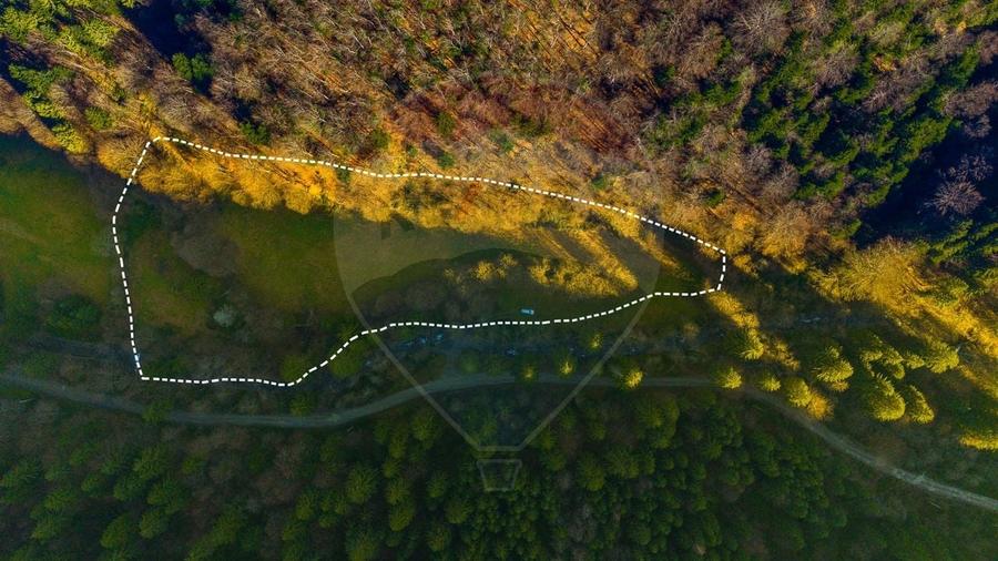 Teren Construcții intravilan de 17939 mp, în Recea