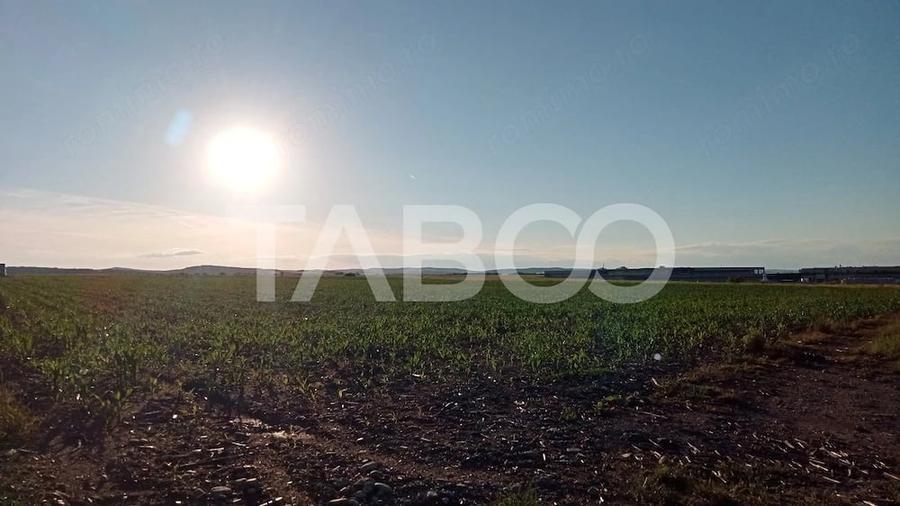 Teren de 20800 mp, în Vest