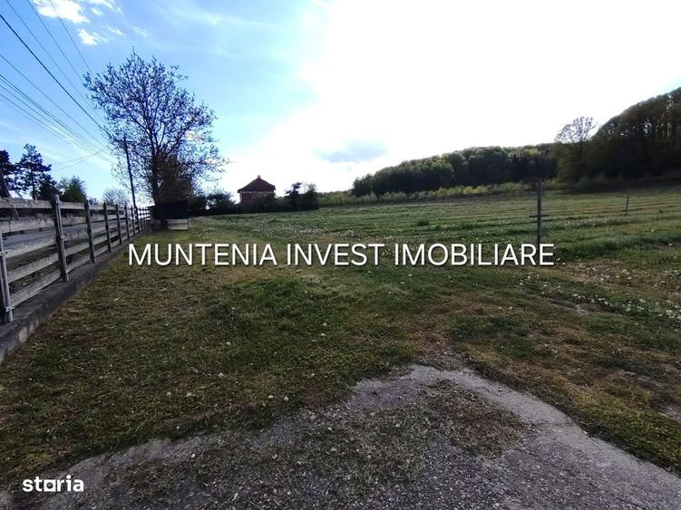 Spațiu comercial, în Albota