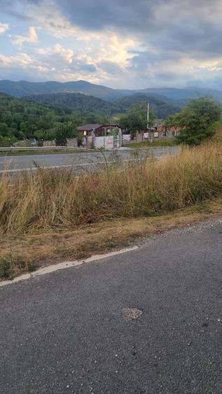 Teren de 1250 mp, în Merișor (Bănița)