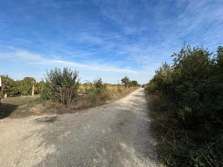 Teren Construcții extravilan de 3704 mp, în Periferie