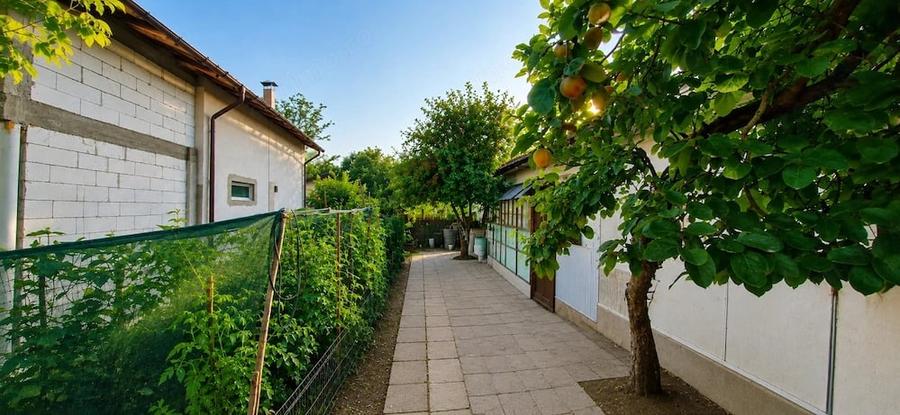 Casă cu Teren 484 Mp în Central