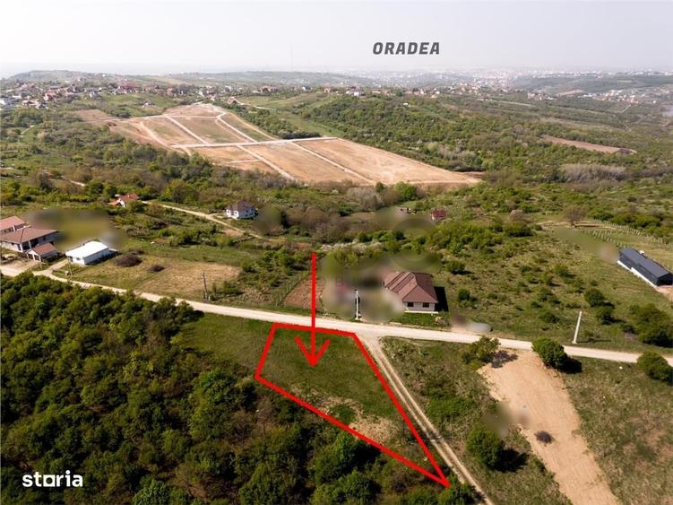 RECO Teren intravilan, dublu front, Saldabagiu de Munte - 5