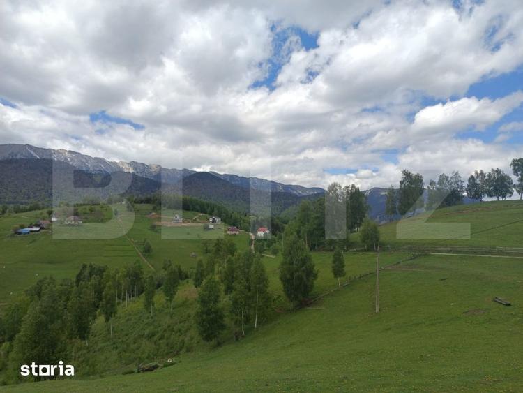 Teren de 4649 mp, în Peștera