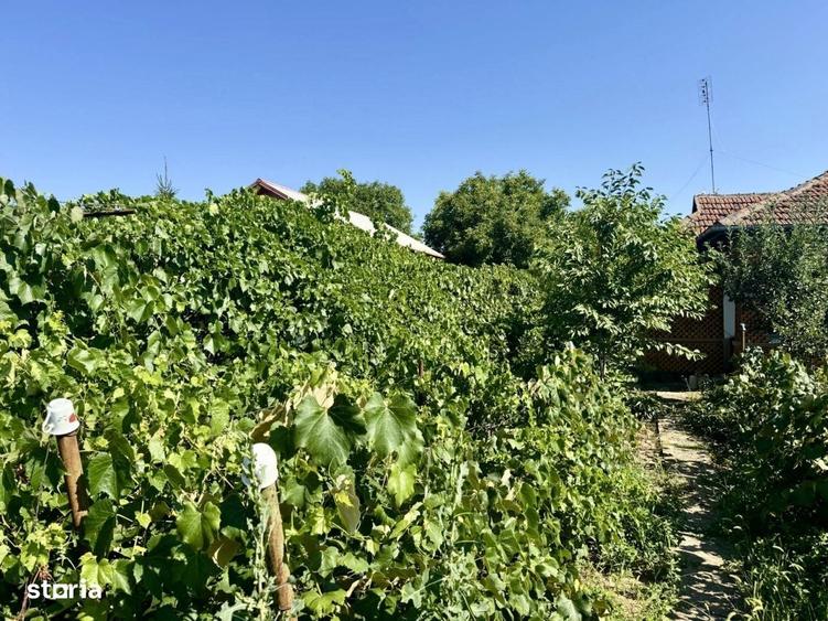 Casă cu 3 camere în Lipia