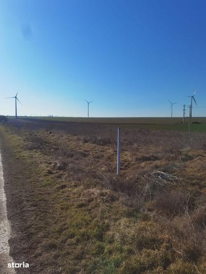 Teren de 1800 mp, în Mahmudia