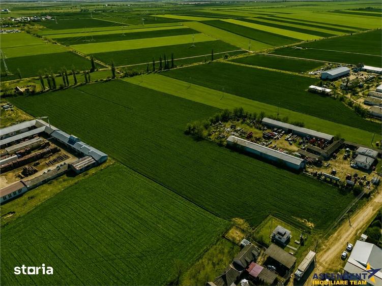 Teren de 10000 mp, în Hălchiu