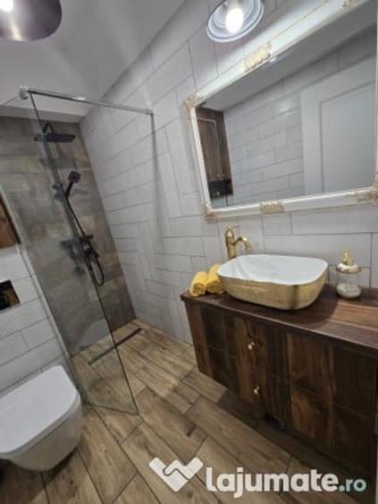 Apartament cu 2 camere decomandat în Ostroveni