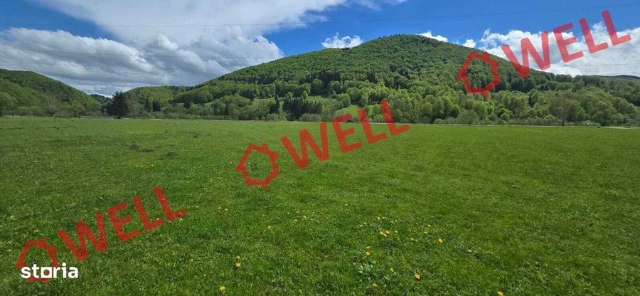 Spațiu comercial, în Vama Buzăului