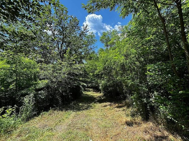 Teren de 6857 mp, în Bujoreni
