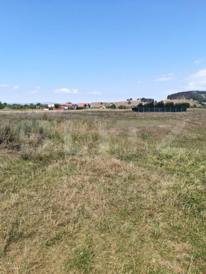 Teren intravilan de vanzare, 1.279 mp, zona Sanpetru - 4