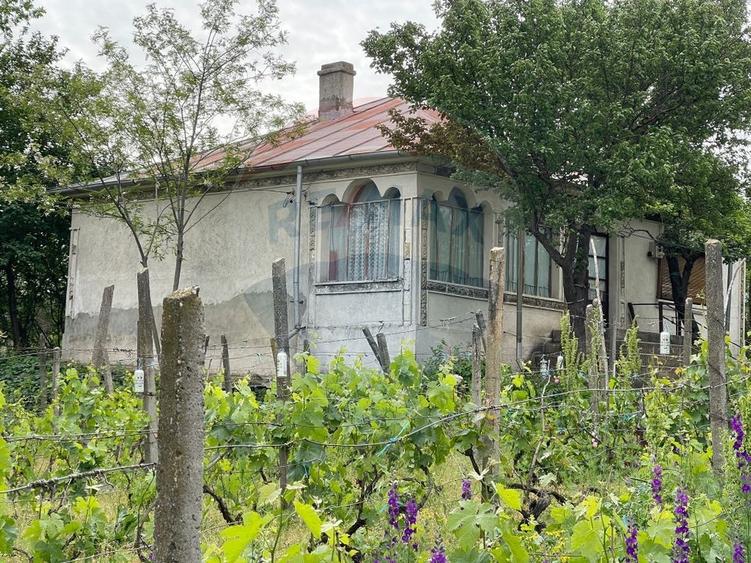 Casă individuală cu 3 camere cu Teren 1692 Mp în Oancea