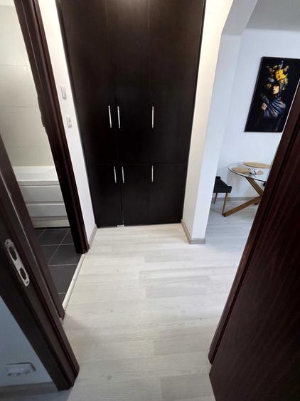 Apartament cu 2 camere semidecomandat în Malu Roșu