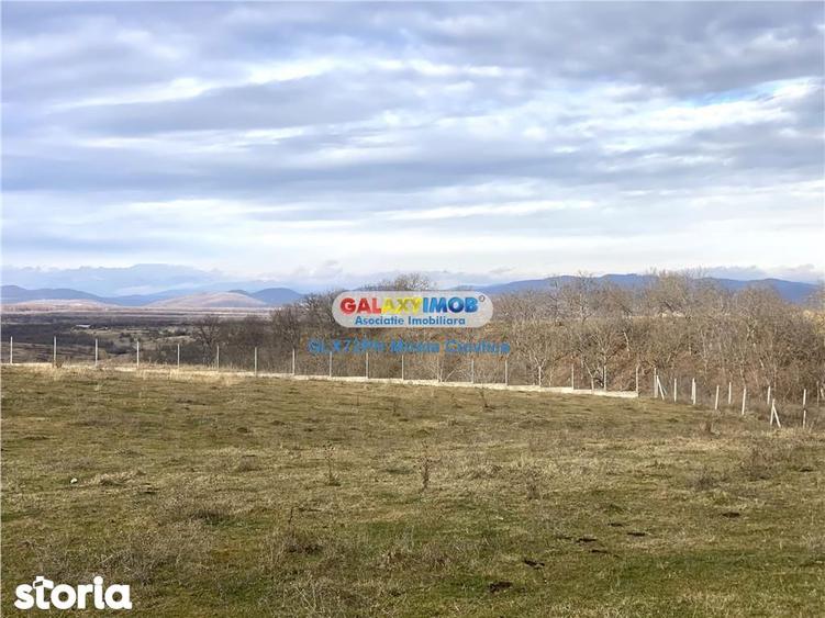 Teren de 4000 mp, în Central