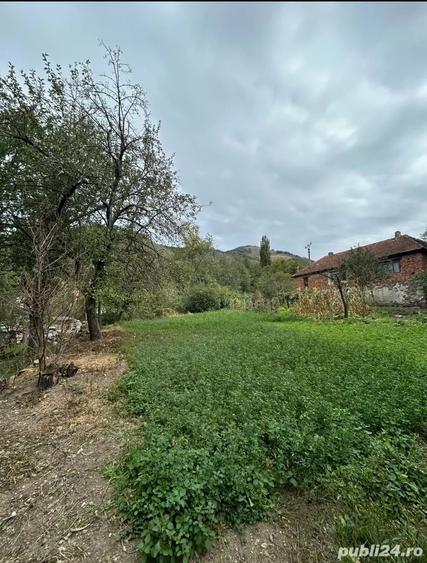 Casă cu 3 camere cu Teren 1500 Mp în Bogâltin
