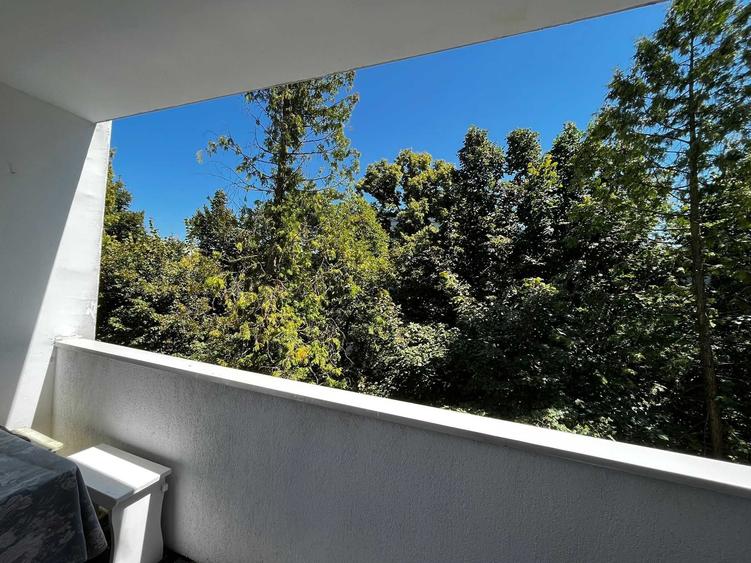 Apartament cu 3 camere semidecomandat în Dosu Bricii