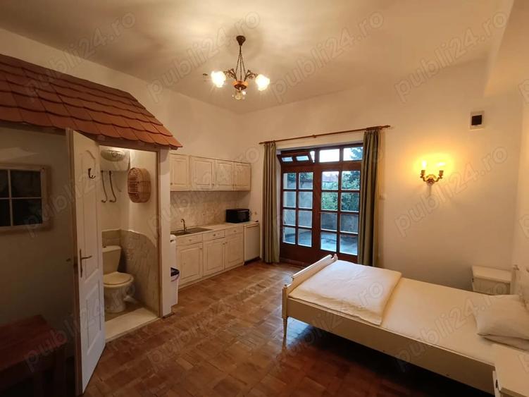 Garsoniera cu terasa proprie in vila interbelica, central, str Iorga - 1