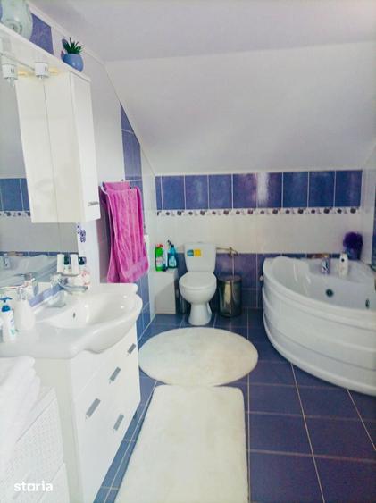 Casă cu 8 camere cu Teren 4600 Mp în Vlădeni