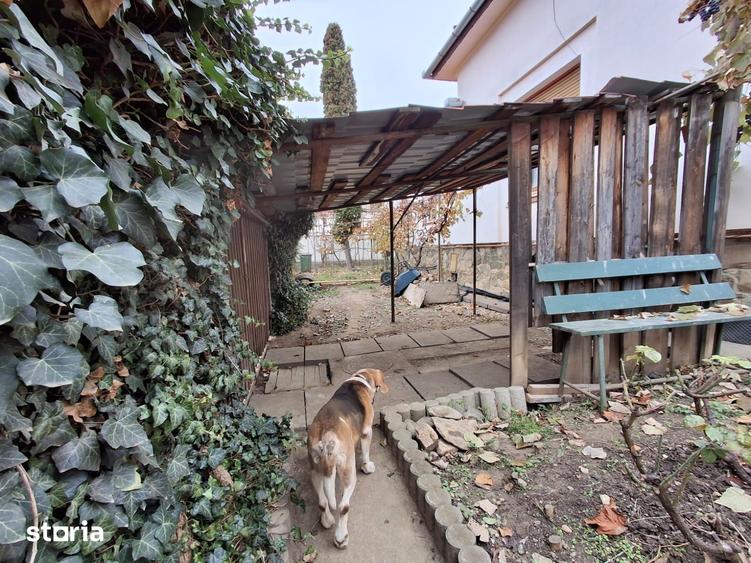 Casă cu 4 camere cu Teren 350 Mp în Sub Arini