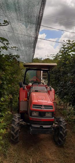 Teren extravilan in Baicoi 10.000mp plantatie mure --80.000e - 2