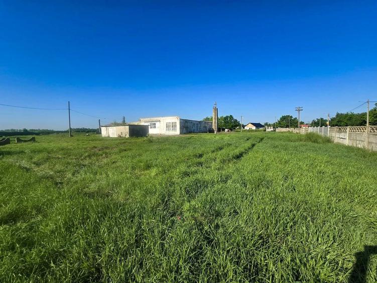 Spațiu comercial, de 7,354 mp, în Movila Miresii