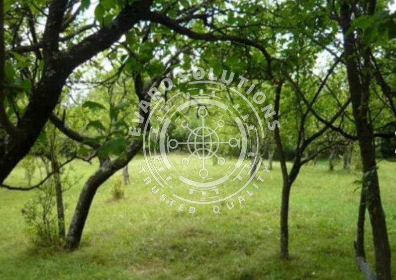 Teren intravilan 3550mp | Zona superba | Teisani - Prahova - 6